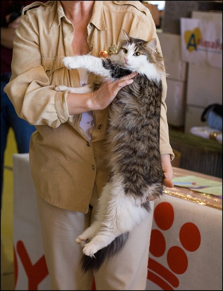 Inconnu 2.jpg - Inconnu